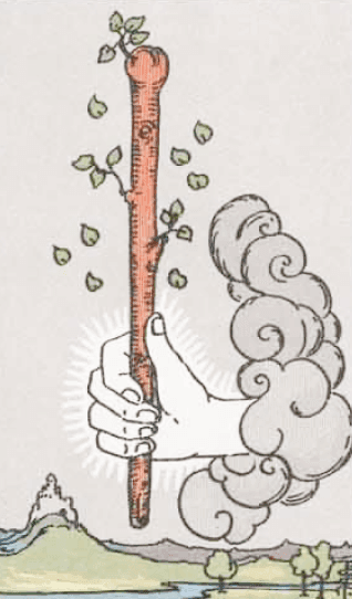 Ás de Paus Significado de Carta de Tarô