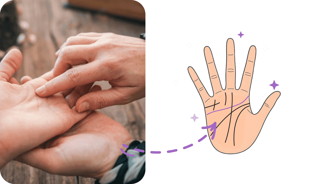 Lectura de mano online