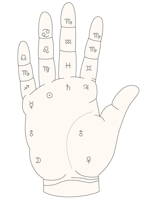 Free Palm Reading Scanner | Read Life, Heart & Love Line | Ceerly