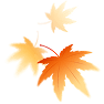 maple leaf 1 image