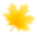 maple leaf 2 image